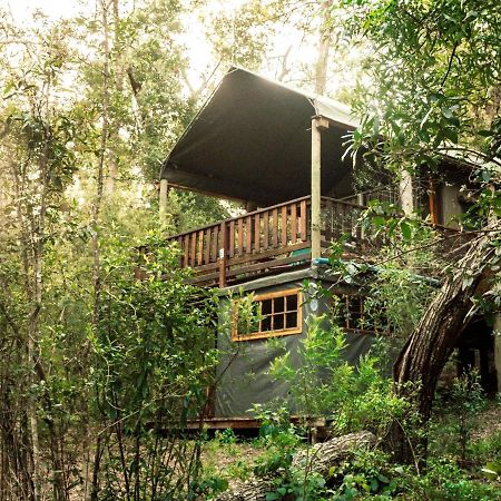 Fernhill Tented Treehouses Rheenendal Eksteriør billede