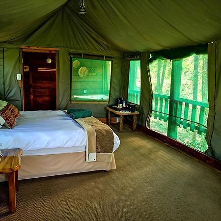Fernhill Tented Treehouses Rheenendal Eksteriør billede