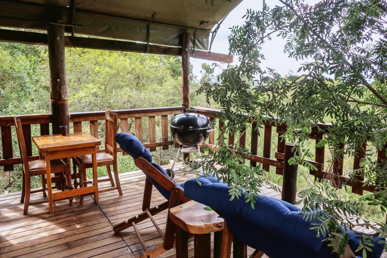 Fernhill Tented Treehouses Rheenendal Eksteriør billede