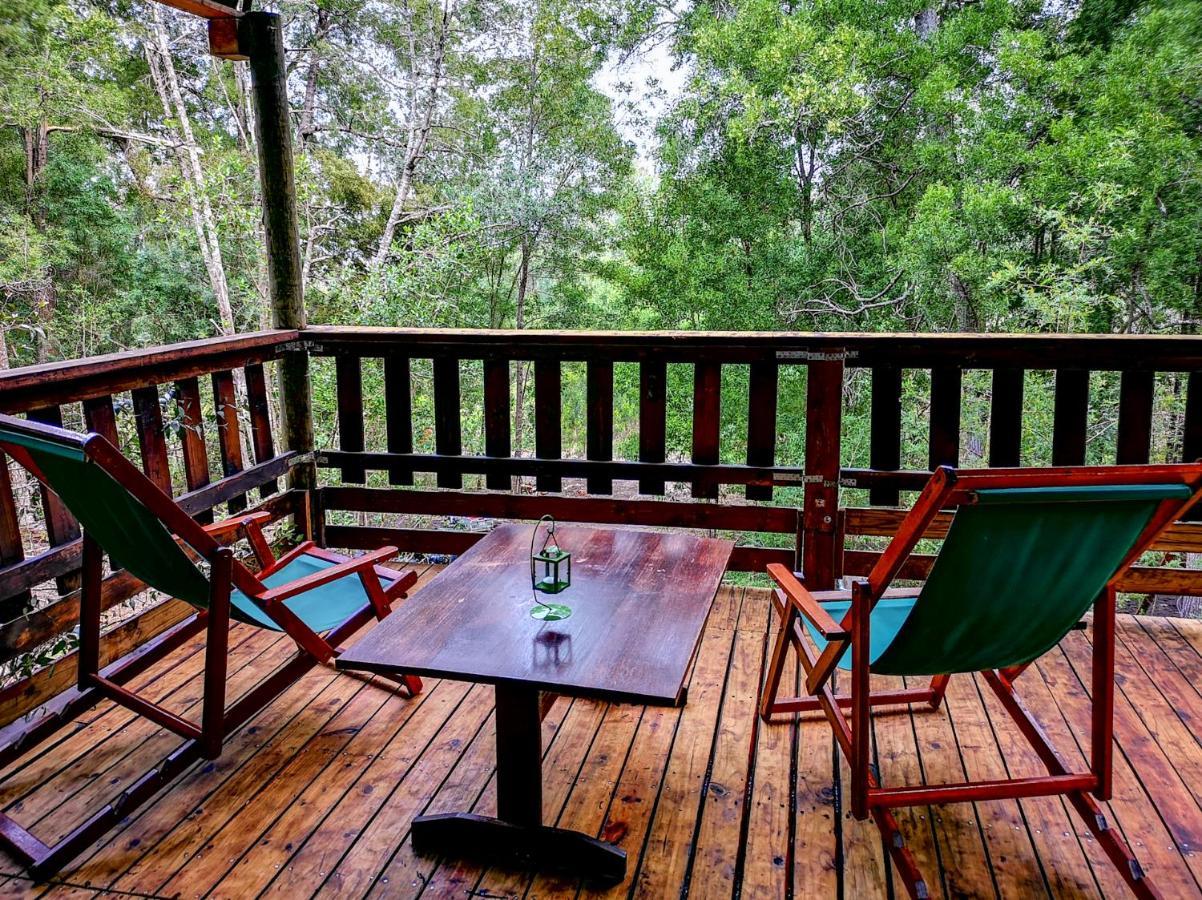 Fernhill Tented Treehouses Rheenendal Eksteriør billede