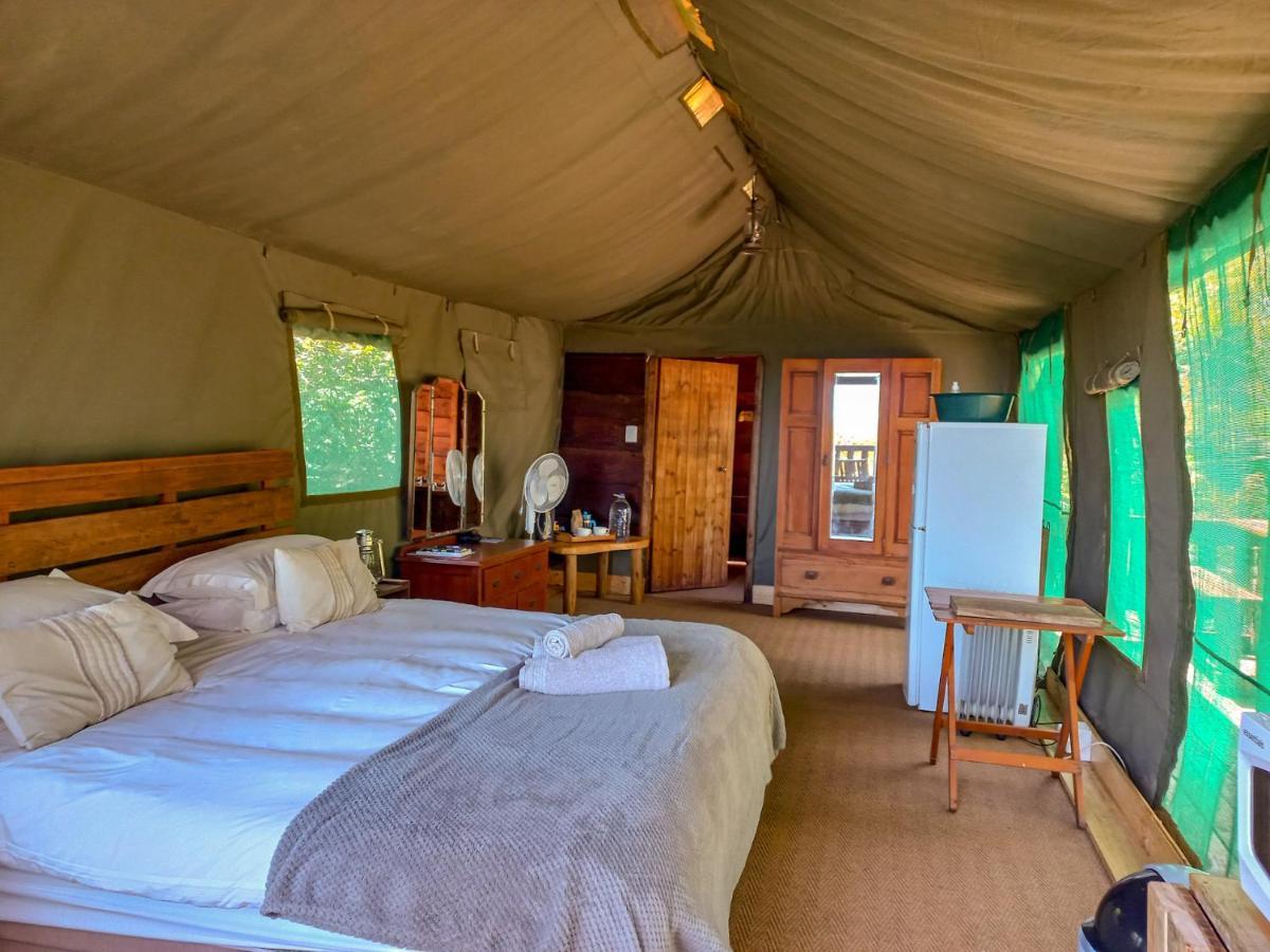 Fernhill Tented Treehouses Rheenendal Eksteriør billede