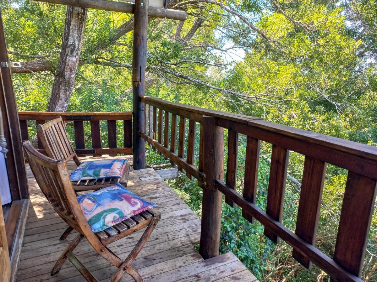 Fernhill Tented Treehouses Rheenendal Eksteriør billede