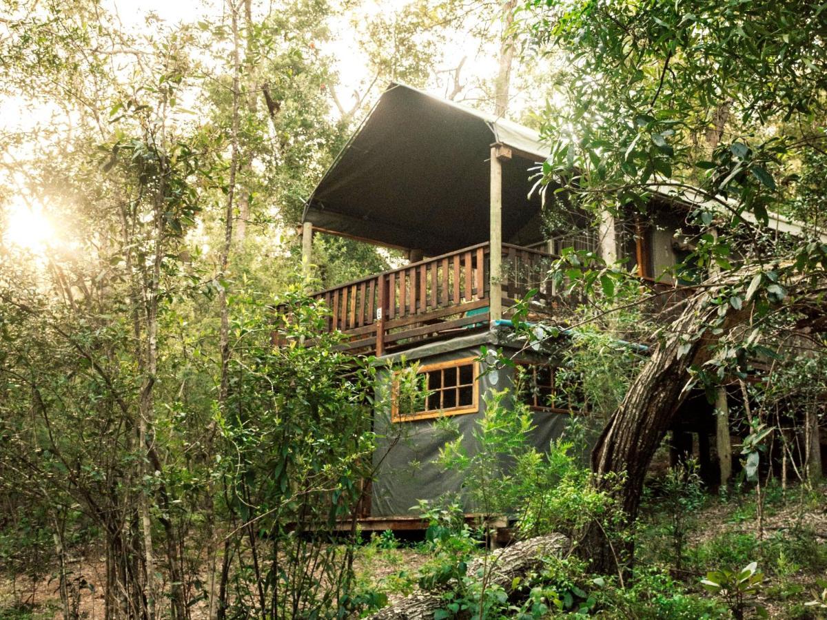 Fernhill Tented Treehouses Rheenendal Eksteriør billede